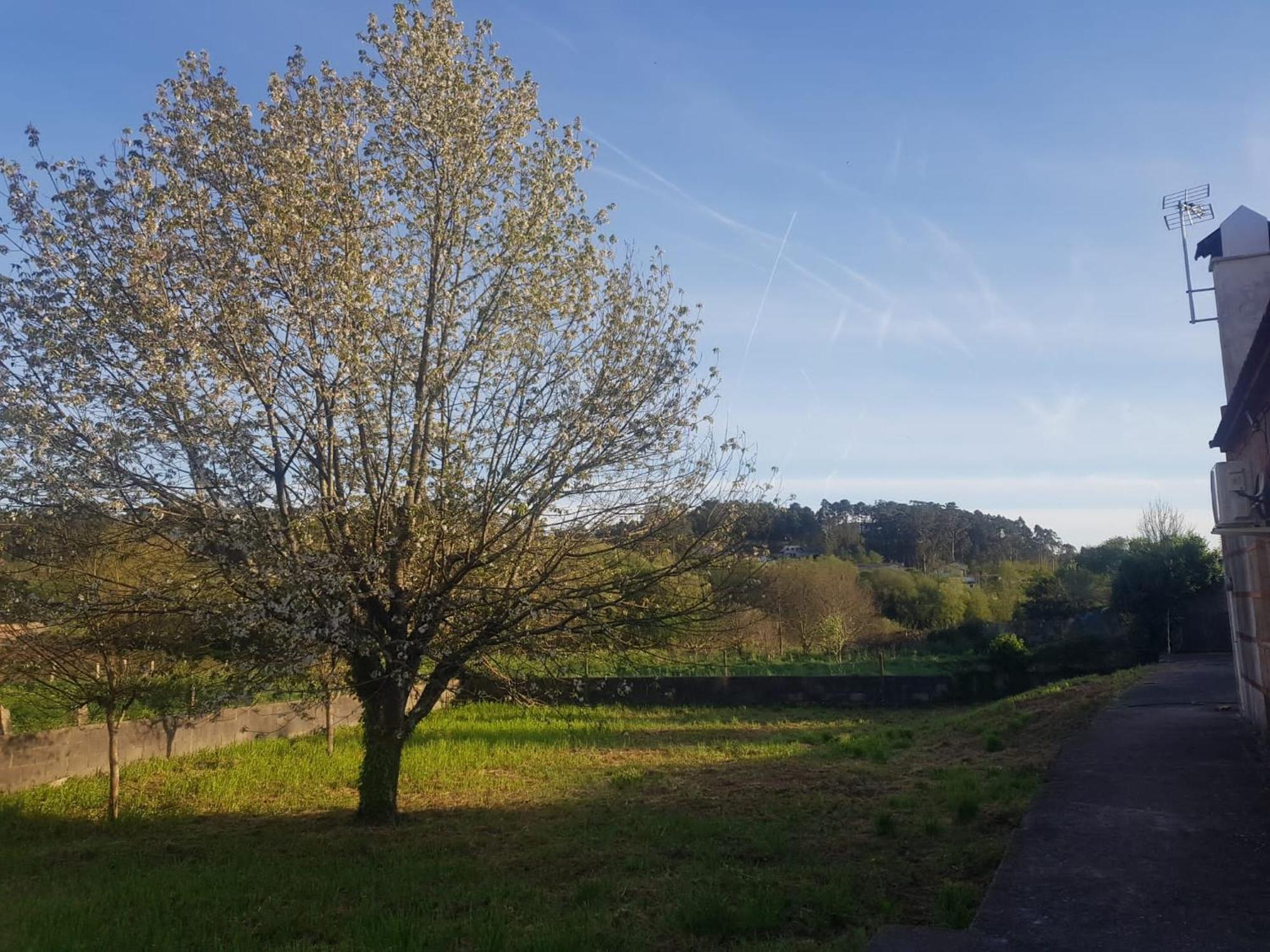 Casa La Porrinesa Villa Porriño Kültér fotó